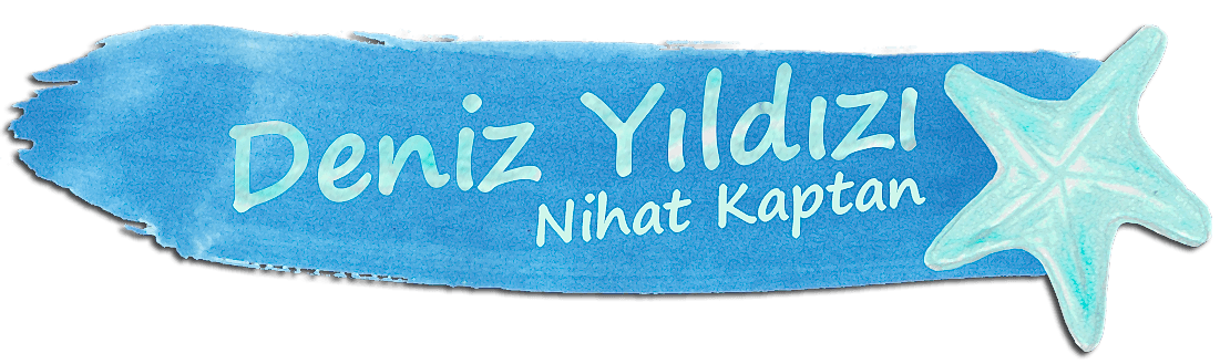 Foça Tekne Turu - Deniz Yıldızı Foça ile Günlük Tur, Akşam Yemeği ve Ay Işığında Unutulmaz Geziler